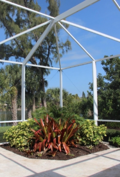 New landscaping includes an ornamental garden inside the pool cage